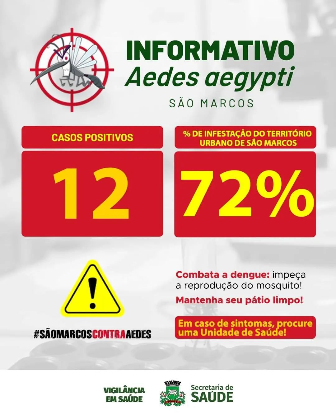 COMO ESTÁ A DENGUE EM SÃO MARCOS?🦟🩸